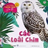  Bách Khoa Toàn Thư Cho Bé - Động Vật Dưới Nước (Bộ 5C) 