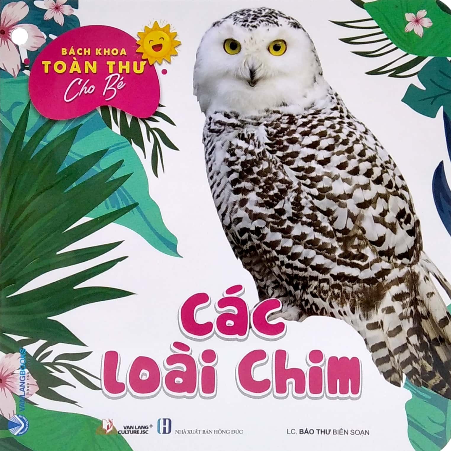  Bách Khoa Toàn Thư Cho Bé - Động Vật Dưới Nước (Bộ 5C) 