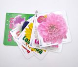  Bách Khoa Toàn Thư Cho Bé - Các Loài Hoa (Bộ 5C) 