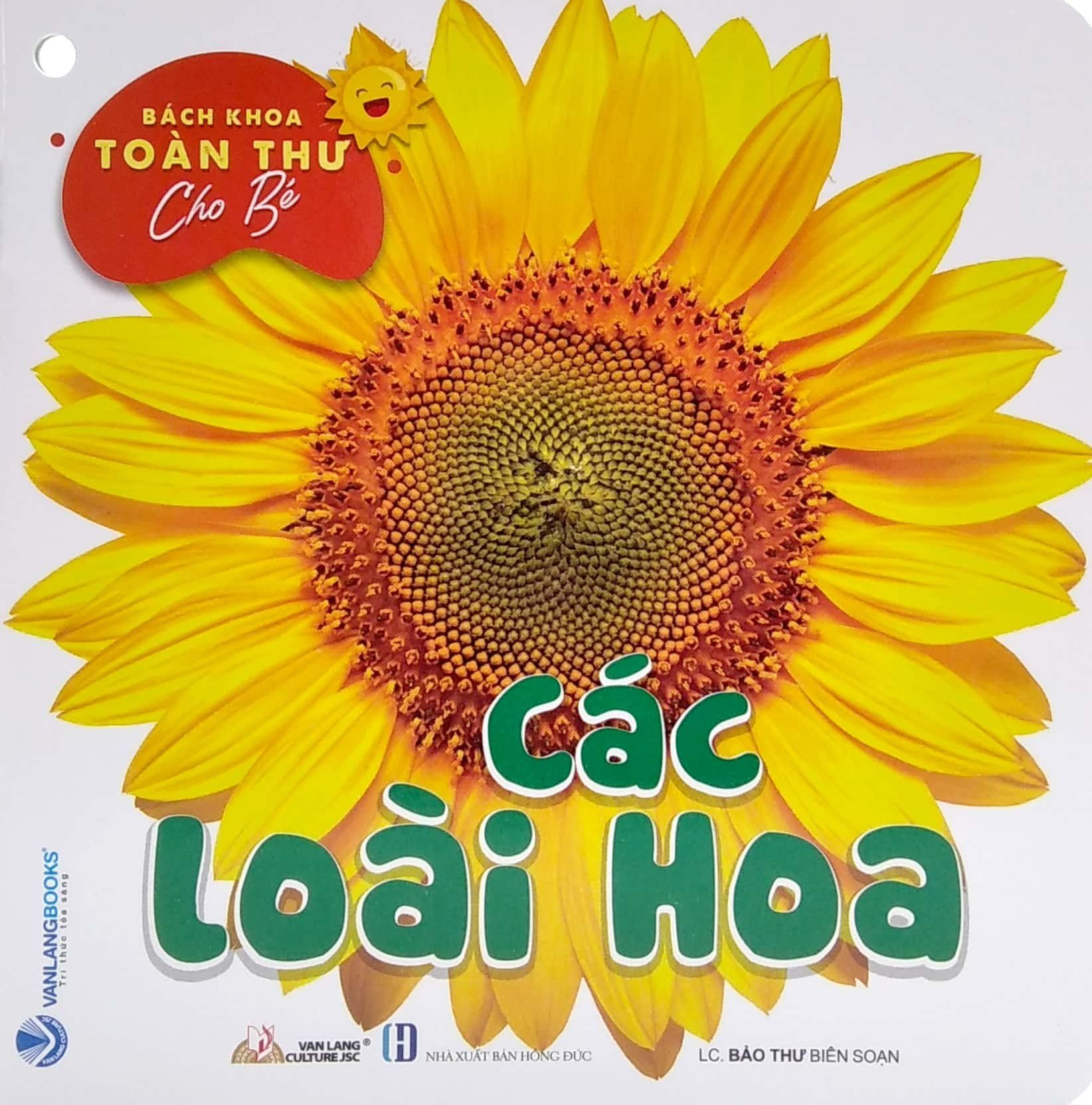  Bách Khoa Toàn Thư Cho Bé - Các Loài Hoa (Bộ 5C) 