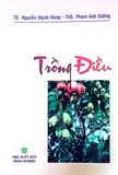 Trồng Điều 