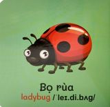  Từ Điển Bằng Hình Đầu Tiên Của Bé - Baby'S First Picture Dictionary - Insects - Côn Trùng 
