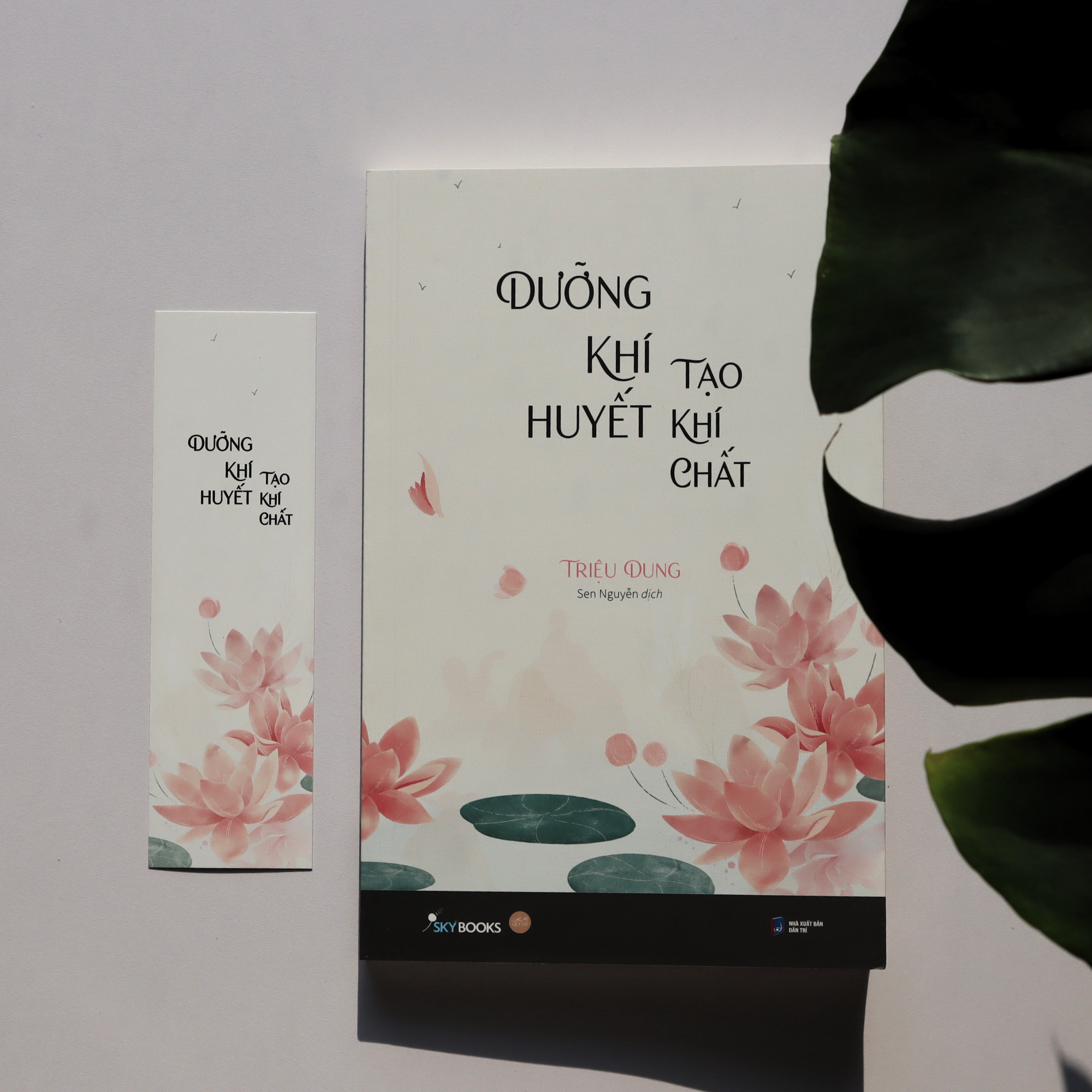  Dưỡng Khí Huyết Tạo Khí Chất 