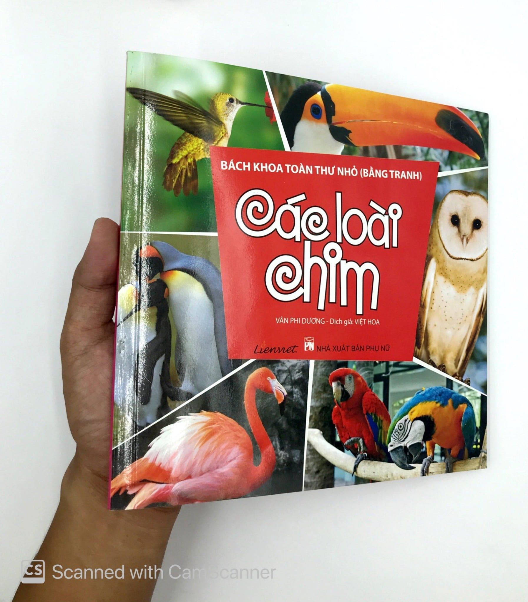  Bách Khoa Toàn Thư Nhỏ - Các Loài Chim 