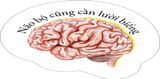  Não Bộ Cũng Cần “Lười Biếng 