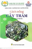  Cách Trồng Cây Trám 
