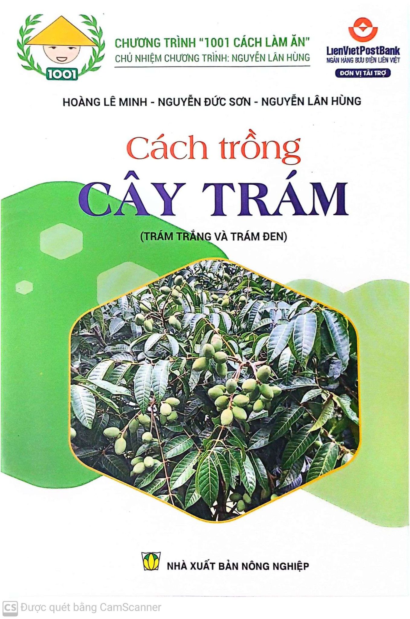  Cách Trồng Cây Trám 