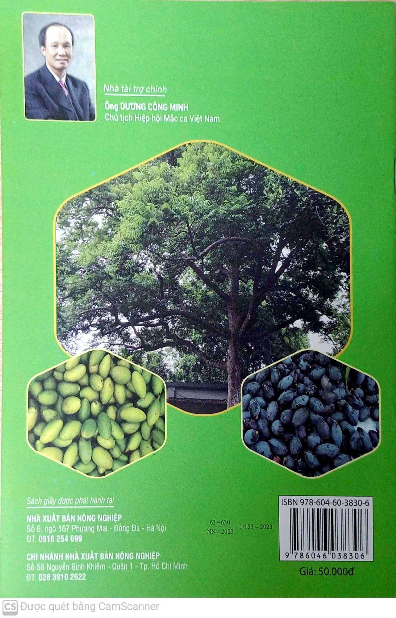  Cách Trồng Cây Trám 