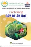  Cách Trồng Cây Dẻ Ăn Hạt 