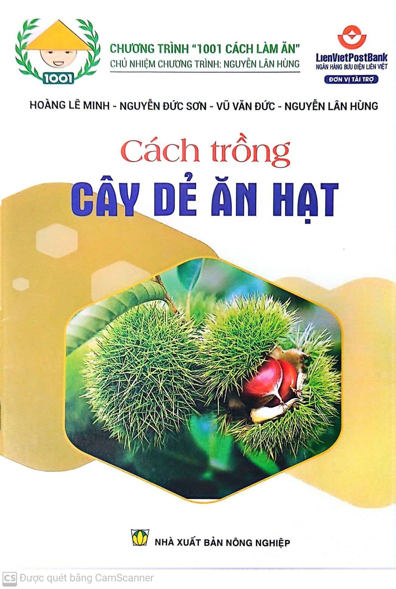  Cách Trồng Cây Dẻ Ăn Hạt 