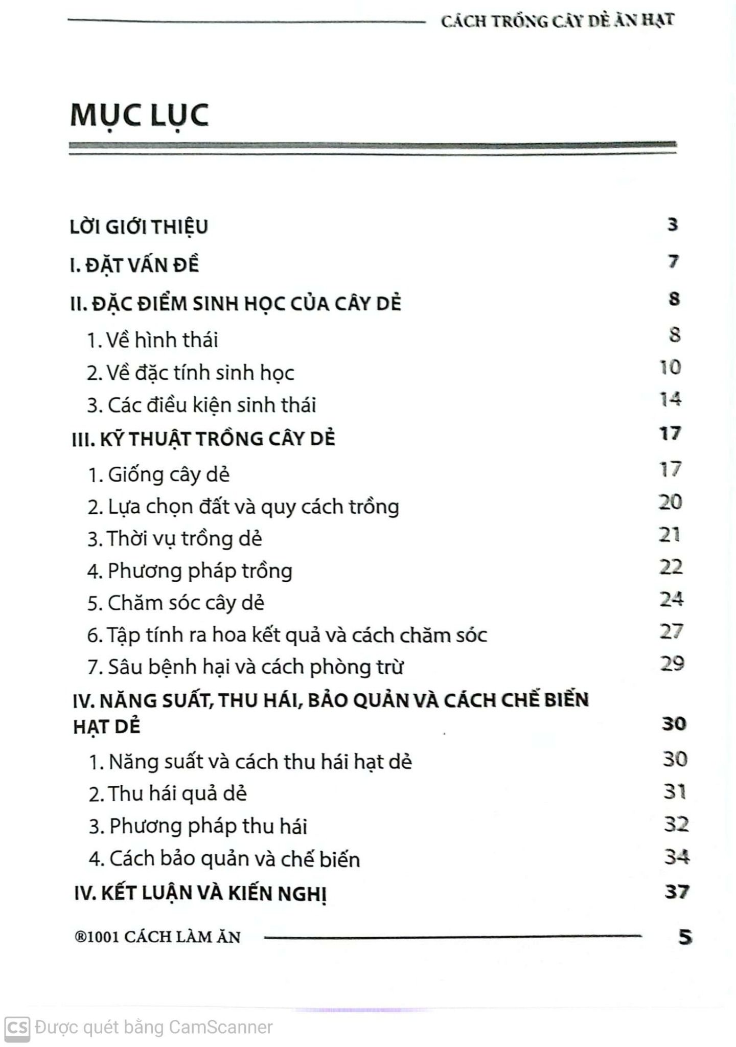  Cách Trồng Cây Dẻ Ăn Hạt 