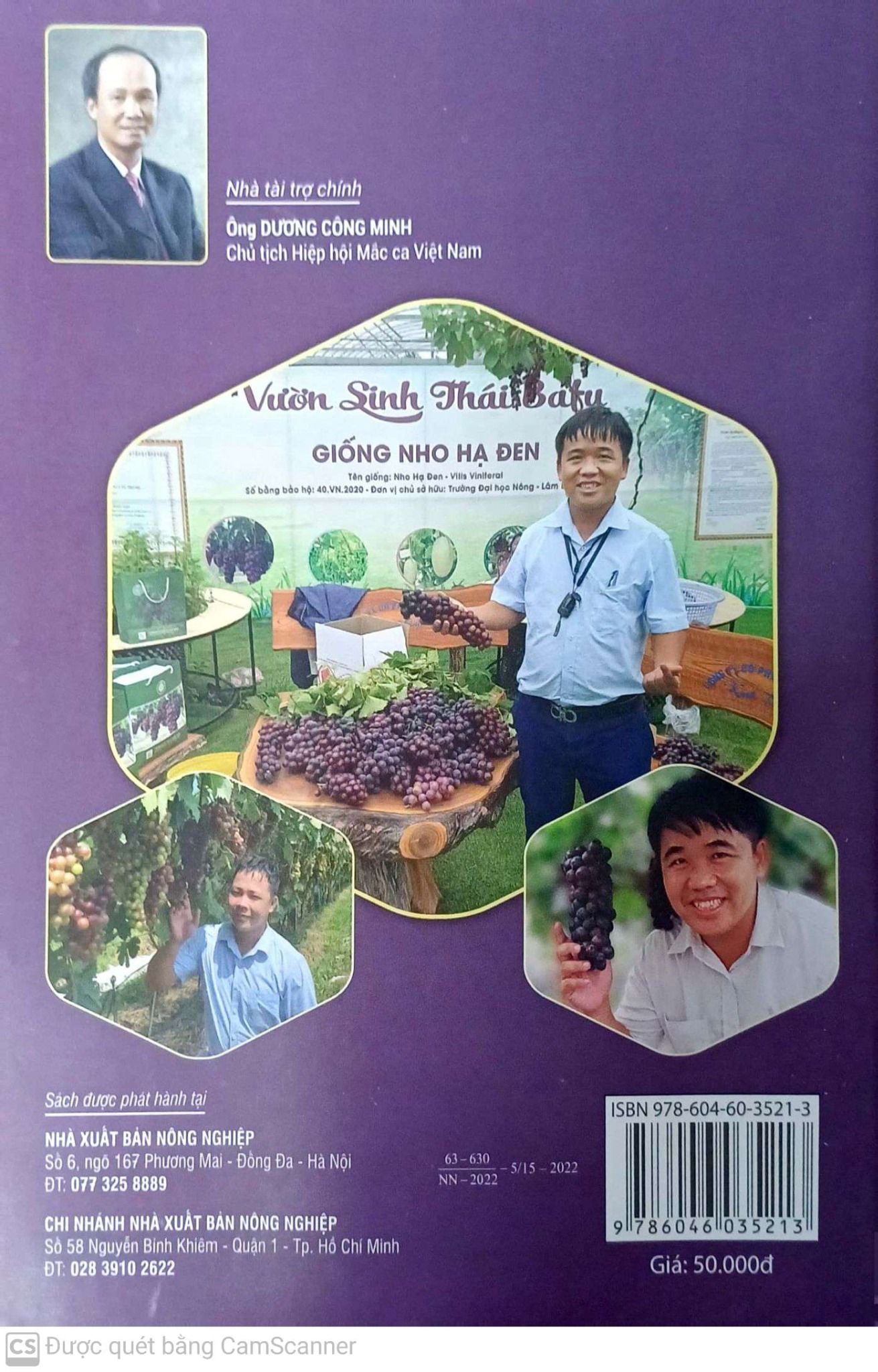  Cách Trồng Nho Hạ Đen 