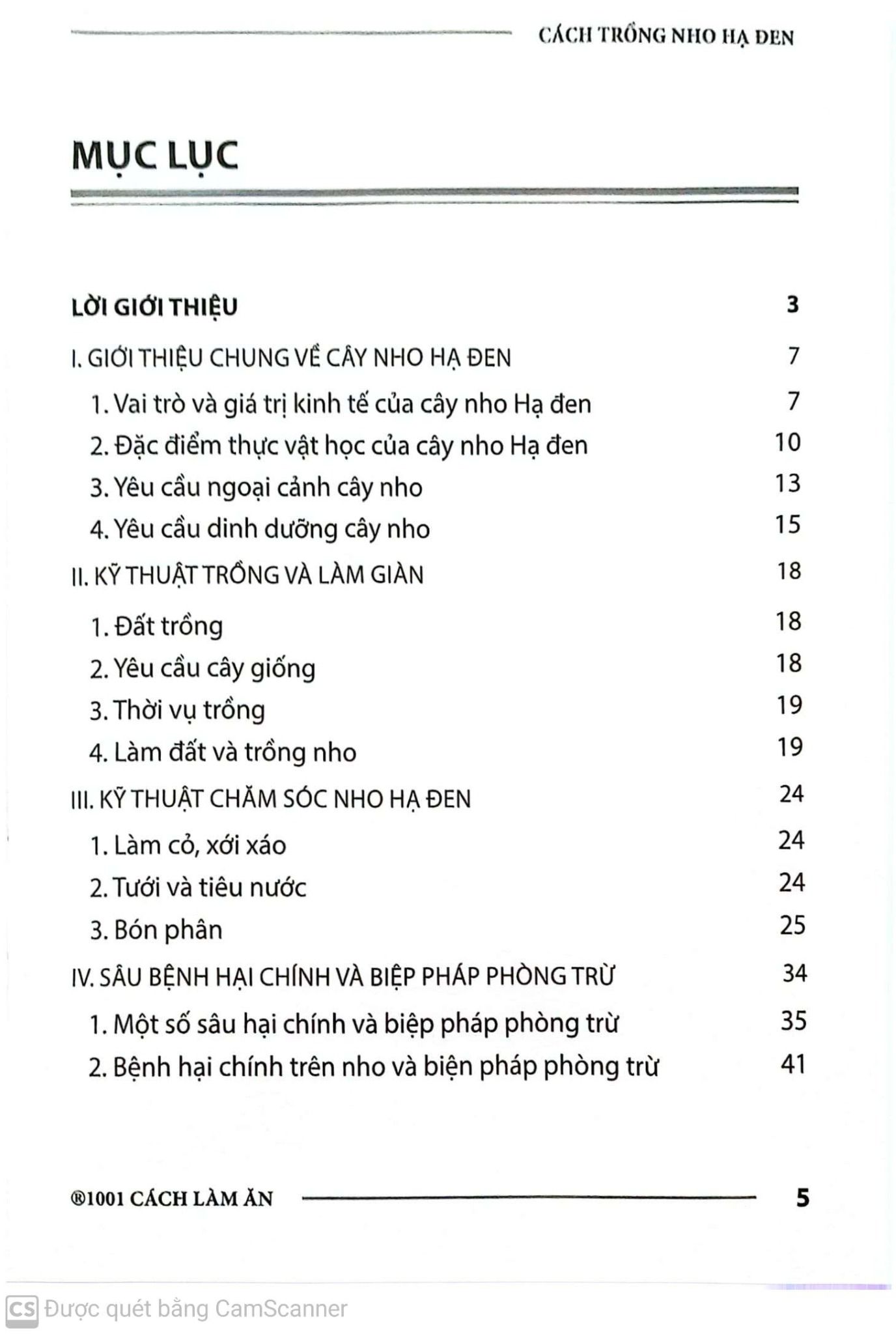  Cách Trồng Nho Hạ Đen 