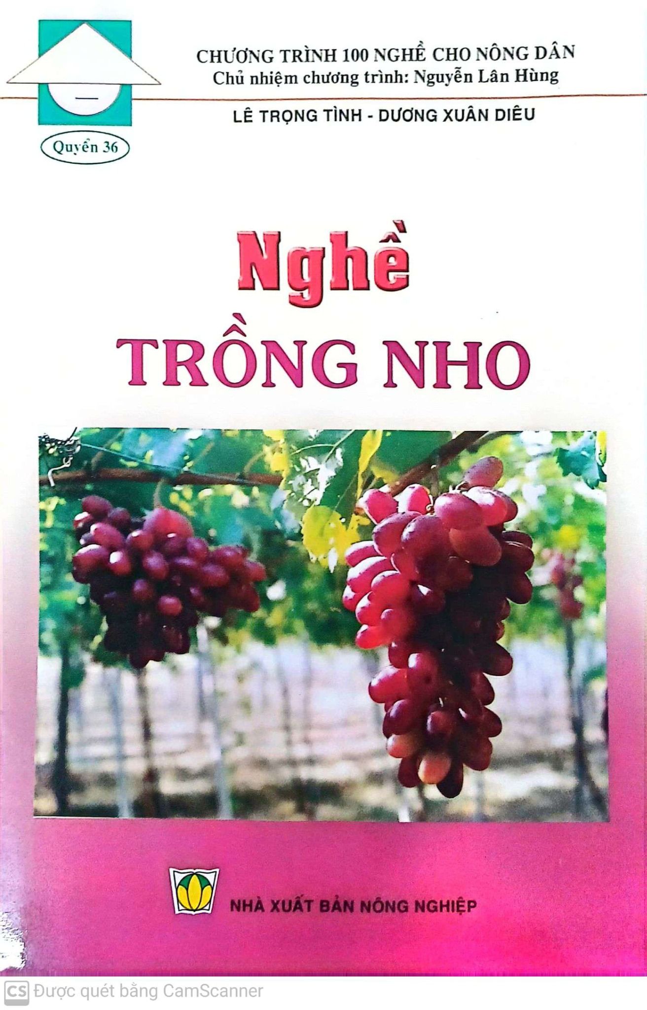  Nghề Trồng Nho 
