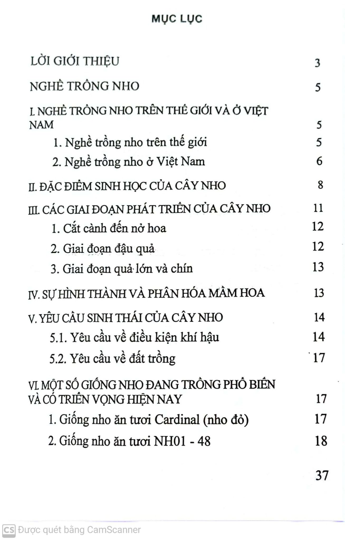  Nghề Trồng Nho 