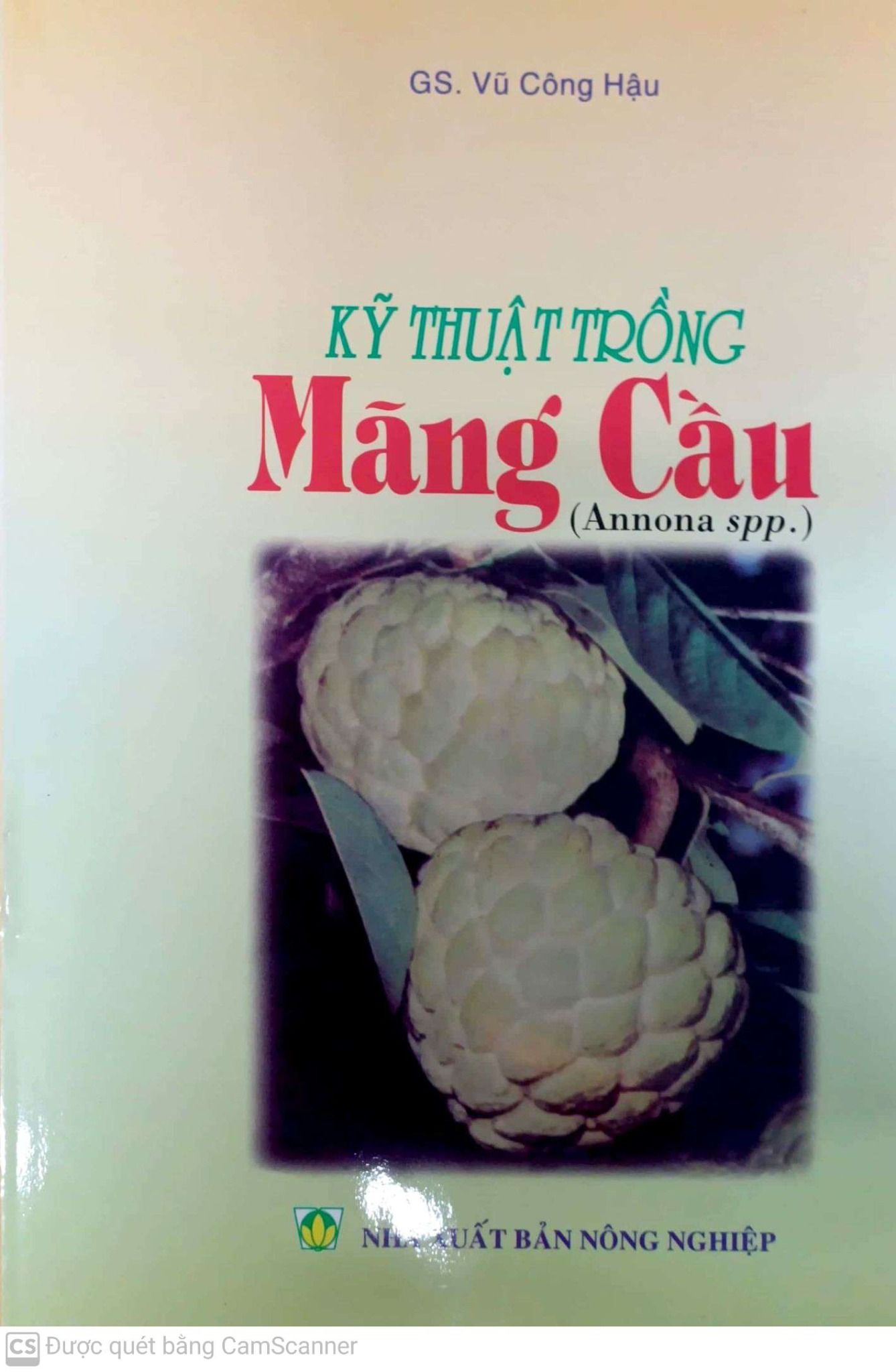  Kỹ Thuật Trồng Mãng Cầu 