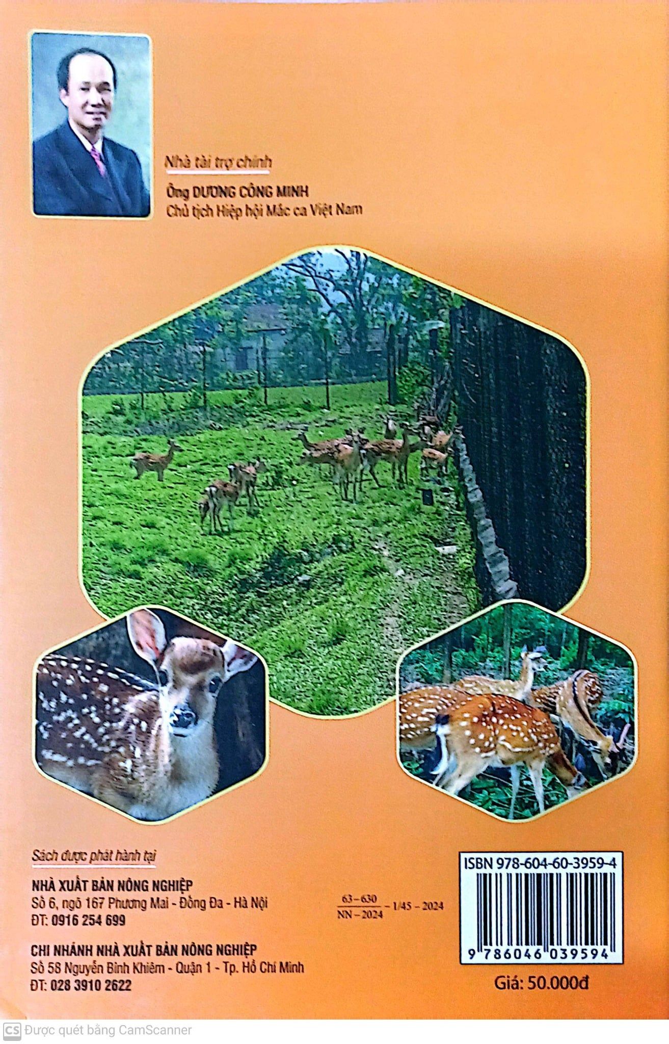  Cách Nuôi Hươu Sao 