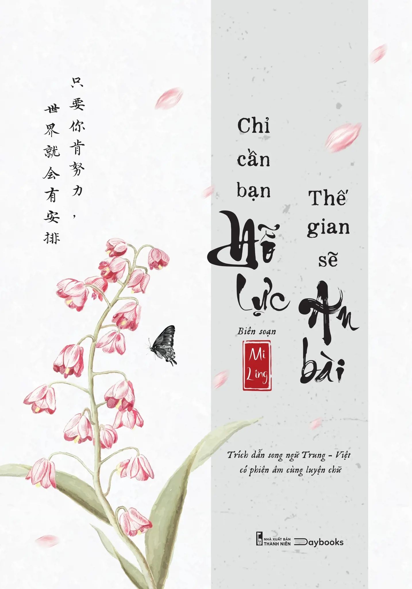  Chỉ Cần Bạn Nỗ Lực, Thế Giới Sẽ An Bài 