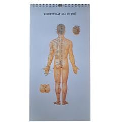  TRANH CHÂM CỨU GIẢI PHẪU THỰC DỤNG 