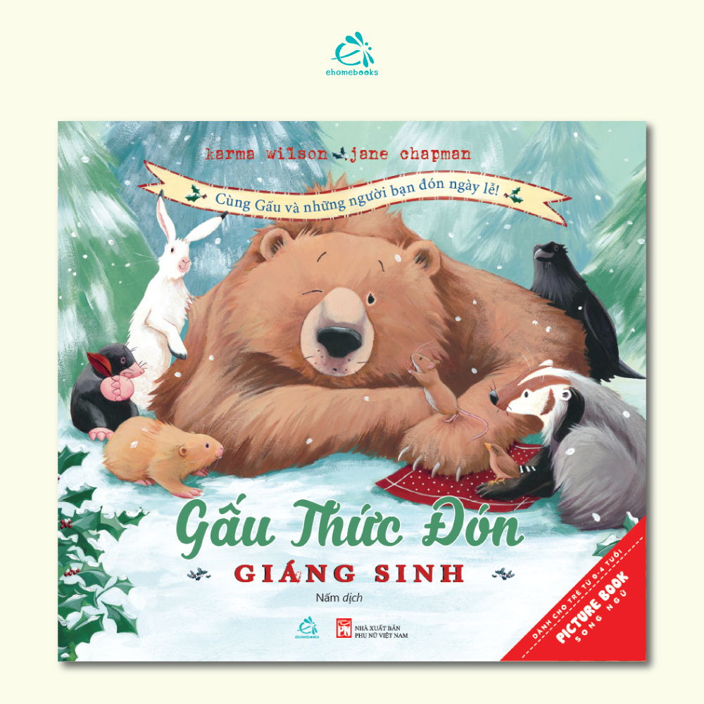  Gấu Thức Đón Giáng Sinh 