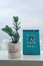  Giết Con Chim Nhại (Tái Bản 2019) 