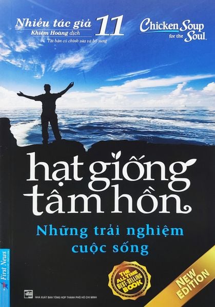 Hạt Giống Tâm Hồn - Tập 11: Những Trải Nghiệm Cuộc Sống