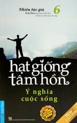  Hạt Giống Tâm Hồn - Tập 6: Và Ý Nghĩa Cuộc Sống (Tái Bản 2022) 