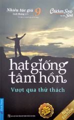  Hạt Giống Tâm Hồn - Tập 9: Vượt Qua Thử Thách (Tái Bản 2022) 