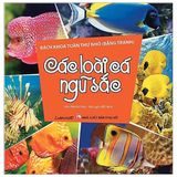  Bách Khoa Toàn Thư Nhỏ - Các Loài Cá Ngũ Sắc 