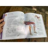  Khoa Học Về Tập Kháng Lực - Bìa Cứng 