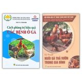  Combo Kỹ Thuật Nuôi Gà Thả Vườn 