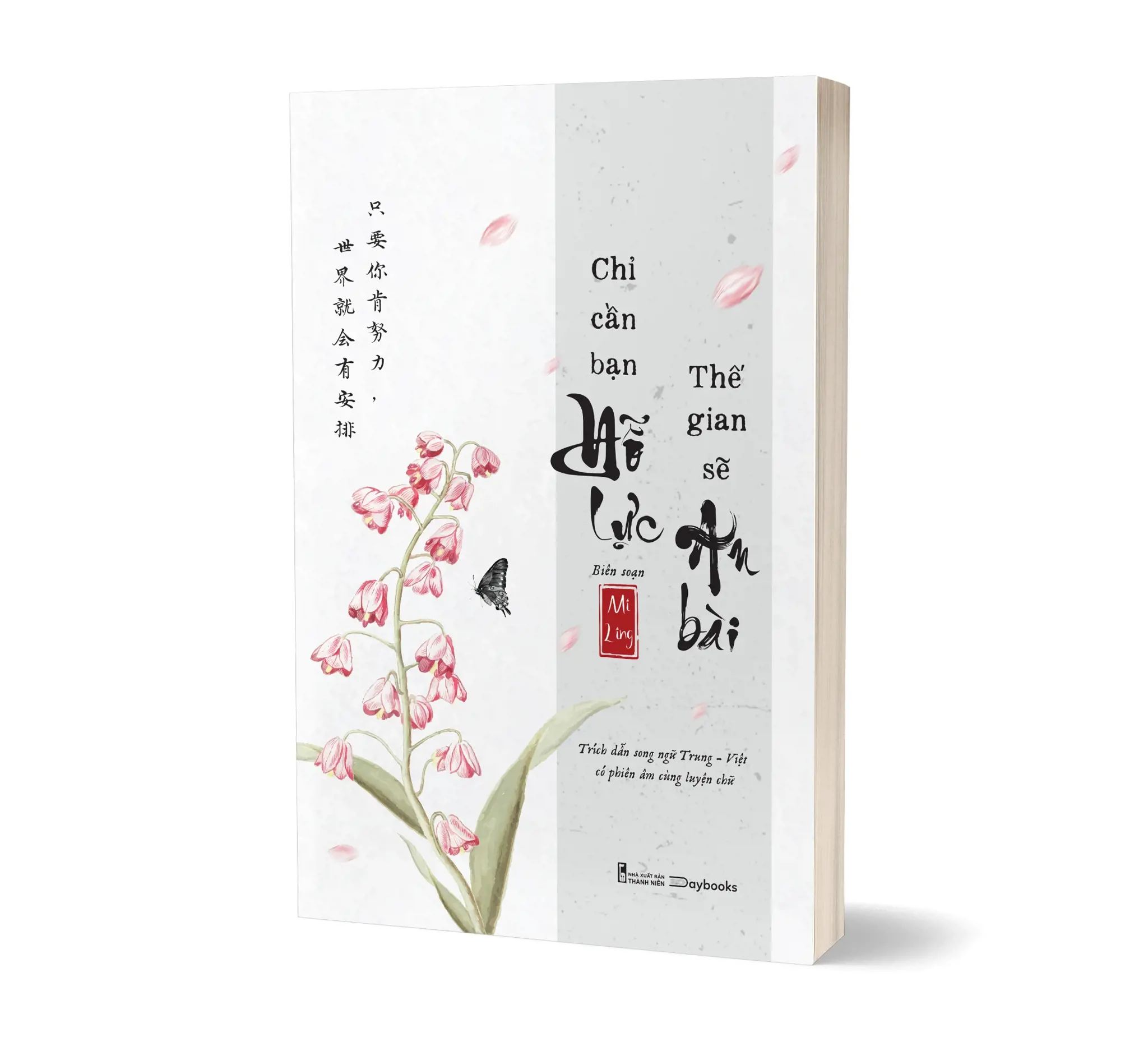  Chỉ Cần Bạn Nỗ Lực, Thế Giới Sẽ An Bài 