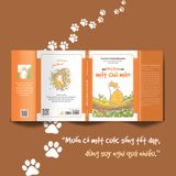  Qua Lăng Kính Của Một Chú Mèo 