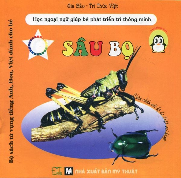Bộ Sách Từ Vựng Tiếng Anh, Hoa, Việt Dành Cho Bé - Sâu Bọ
