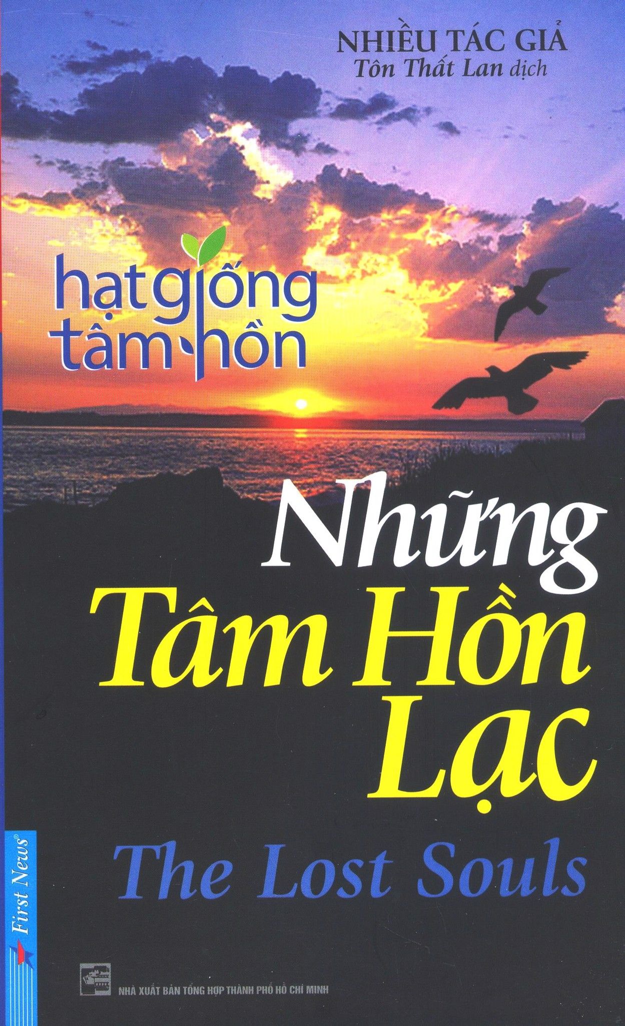  Hạt Giống Tâm Hồn - Những Tâm Hồn Lạc (Tái Bản 2016) 