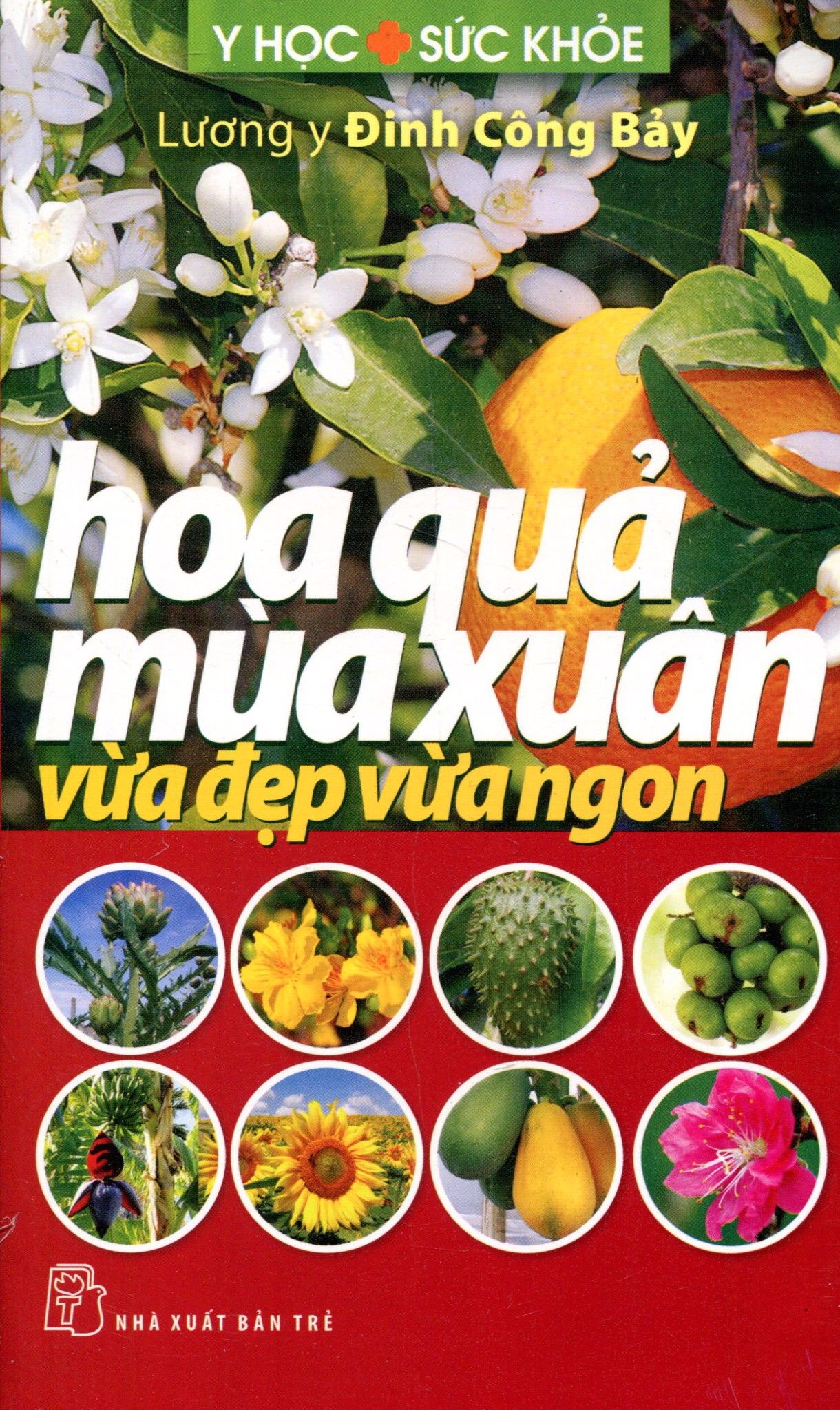  Hoa Quả Mùa Xuân Vừa Đẹp Vừa Ngon 