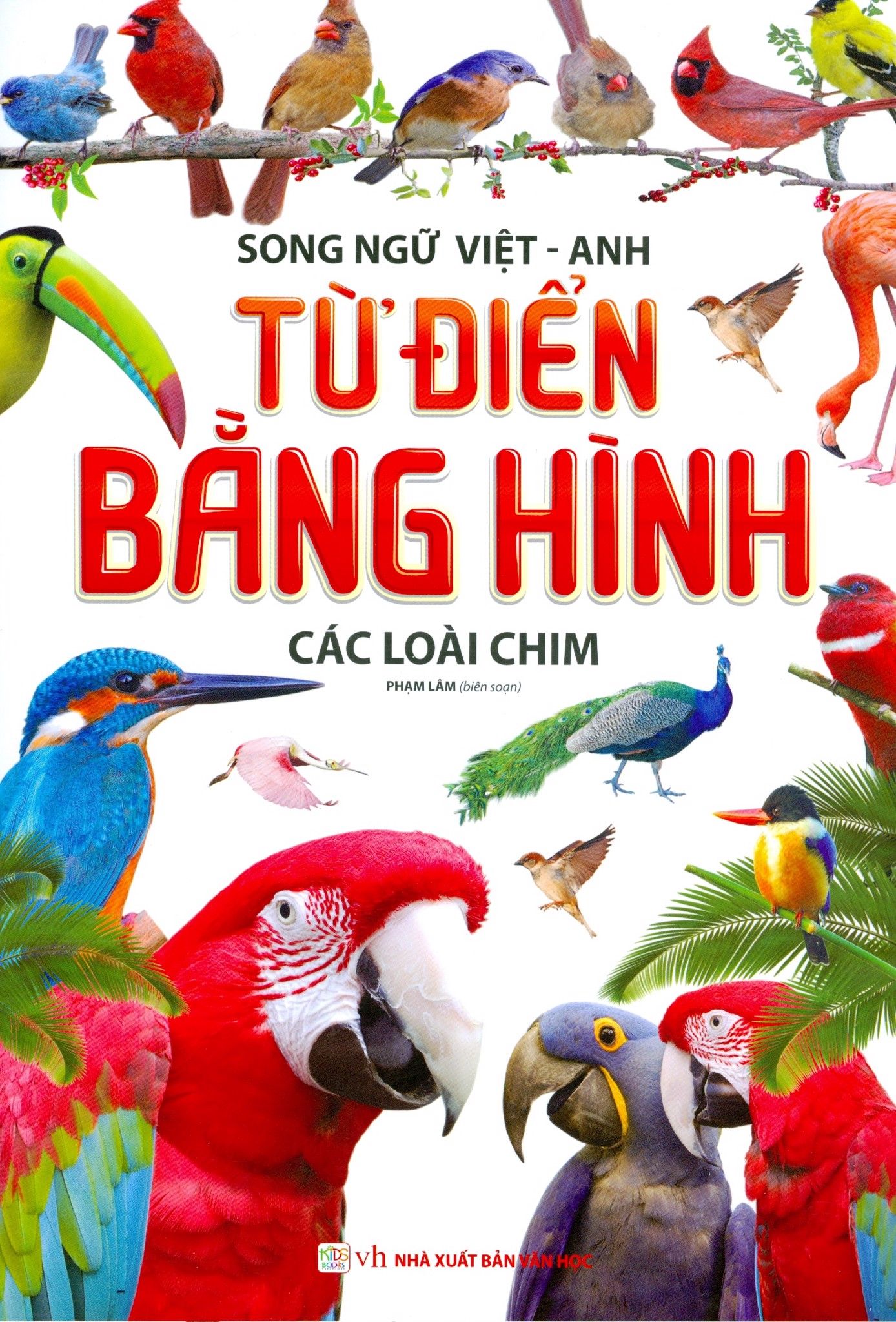  Từ Điển Bằng Hình - Các Loài Chim 