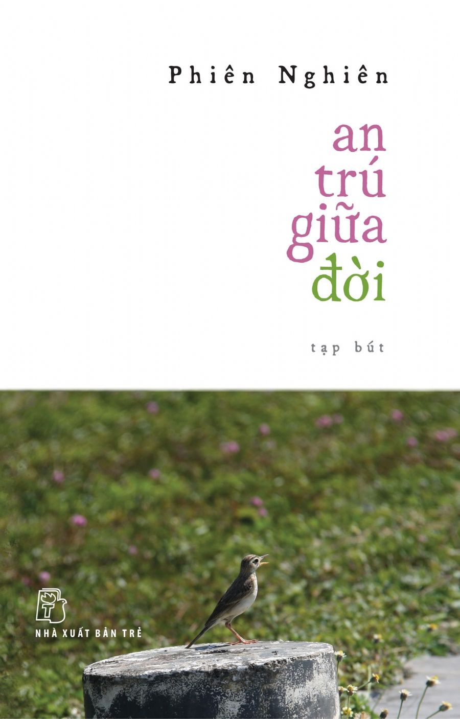  An Trú Giữa Đời 