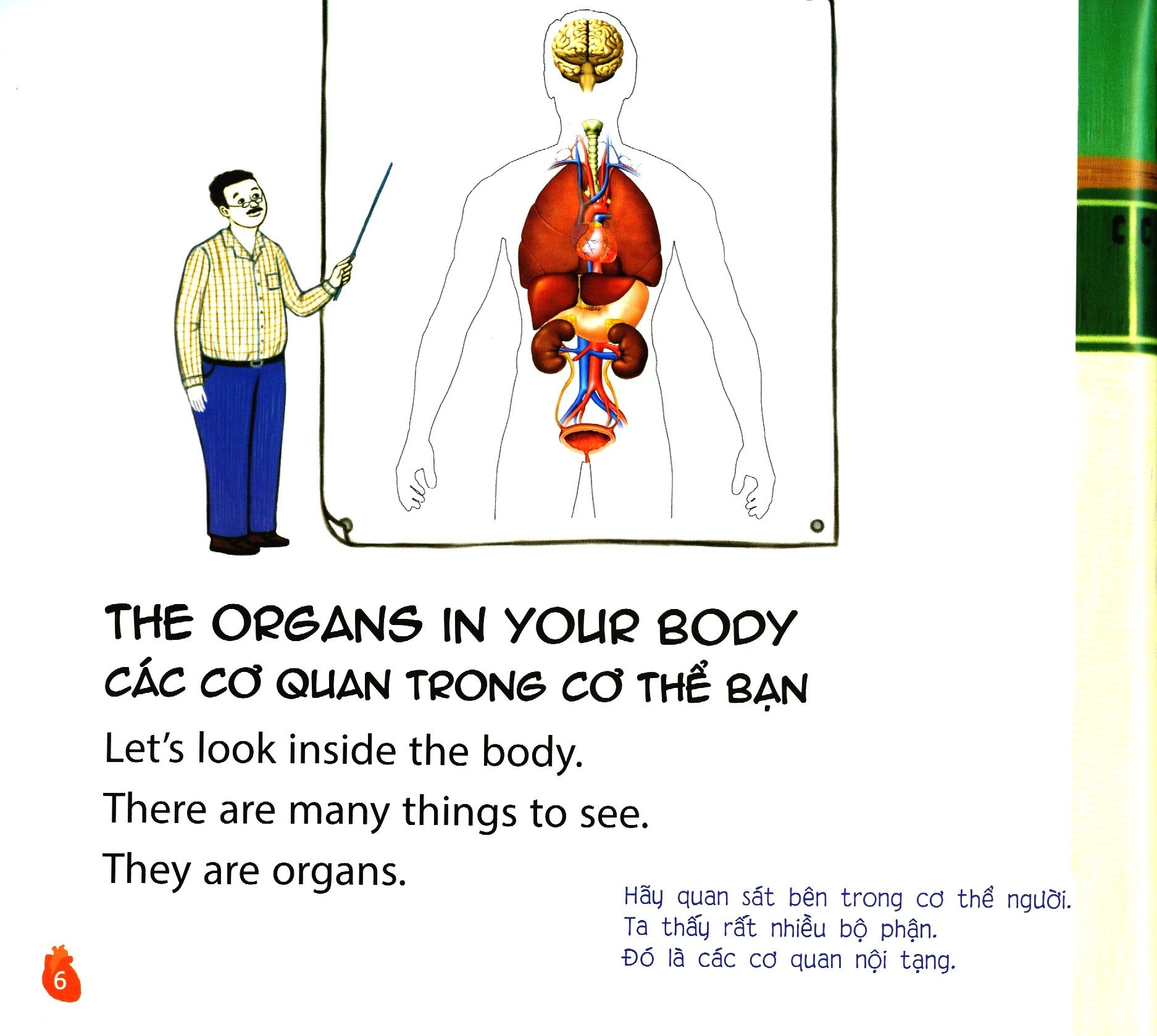  Inside Your Body - Bên Trong Cơ Thể Bạn (Trình Độ 2 - Tập 6) - Kèm 1 CD 