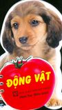  Bộ Sách Học Từ Theo Chủ Đề - Động Vật 