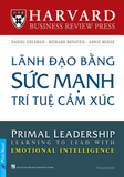  Lãnh Đạo Bằng Sức Mạnh Trí Tuệ Cảm Xúc 