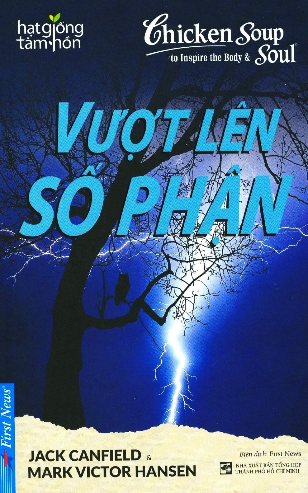  Hạt Giống Tâm Hồn - Vượt Lên Số Phận (Tái Bản 2019) 