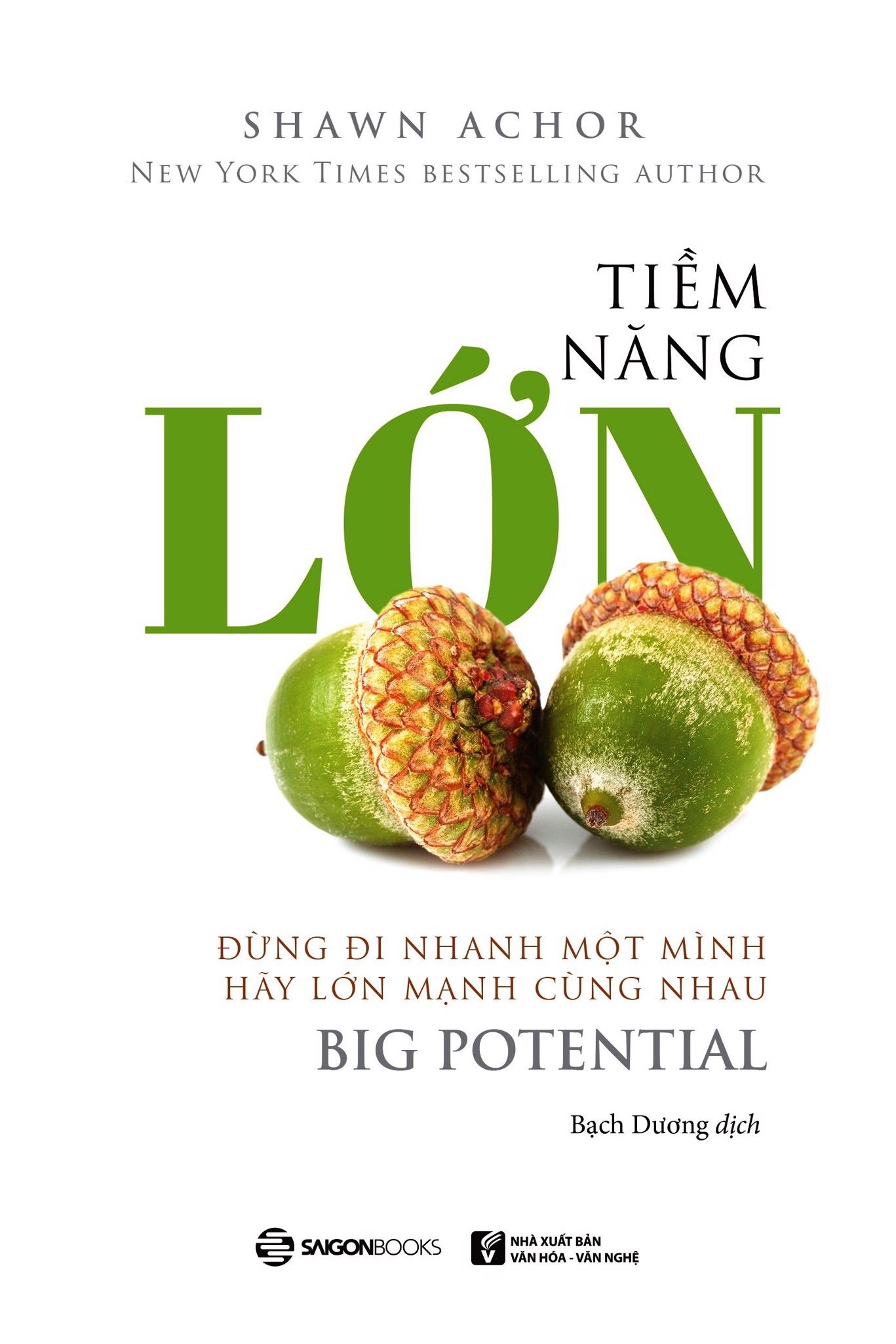  Tiềm Năng Lớn 