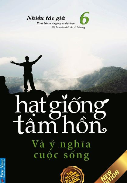 Hạt Giống Tâm Hồn - Tập 6: Và Ý Nghĩa Cuộc Sống (Tái Bản 2020)