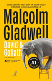  Malcolm Gladwell - David & Goliath 