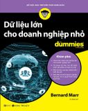  Dữ Liệu Lớn Cho Doanh Nghiệp Nhỏ For Dummies 