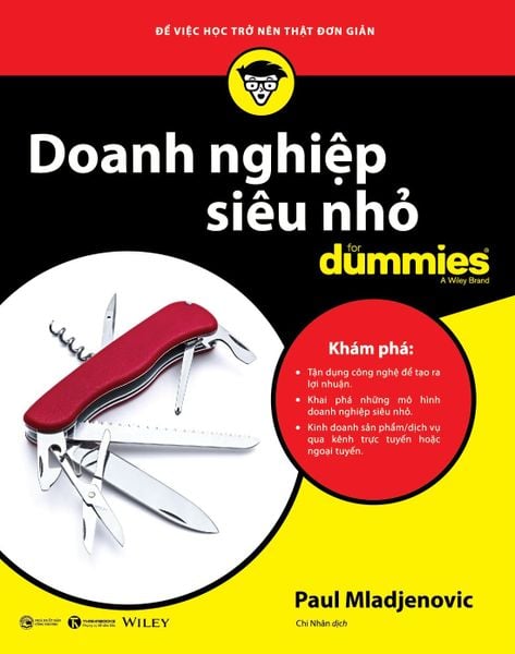 Doanh Nghiệp Siêu Nhỏ For Dummies