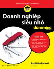 Doanh Nghiệp Siêu Nhỏ For Dummies