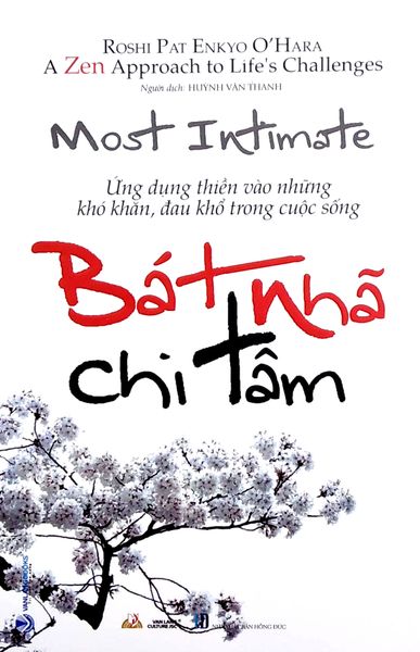 Bát Nhã Chi Tâm - Ứng Dụng Thiền Vào Những Khó Khăn, Đau Khổ Trong Cuộc Sống