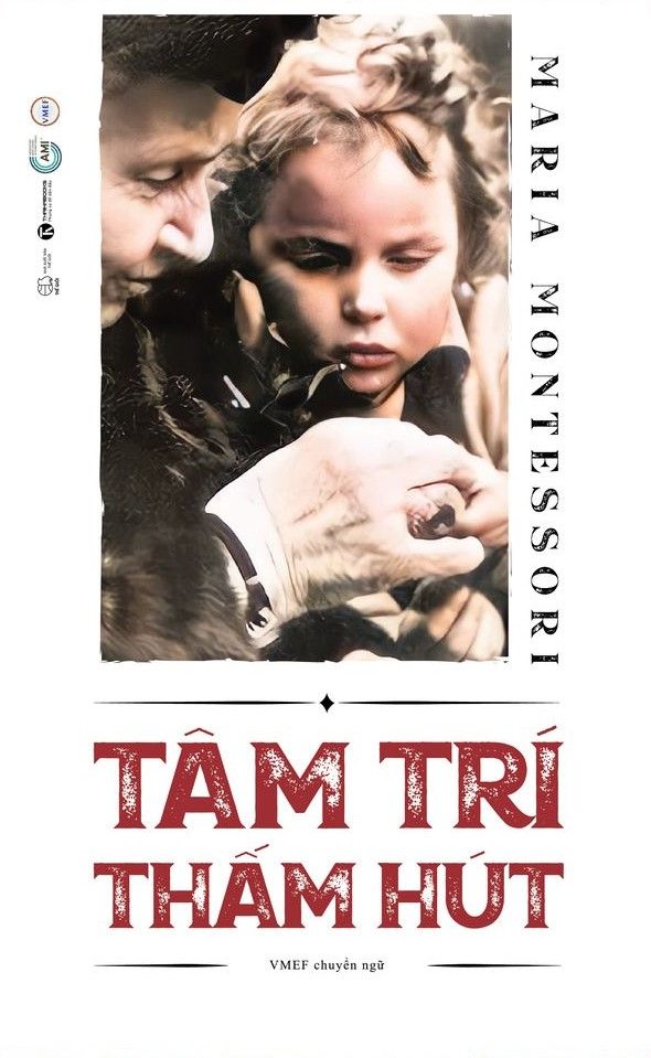  Tâm trí thấm hút 